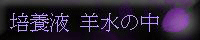 �|�{�t�@�r���̒�